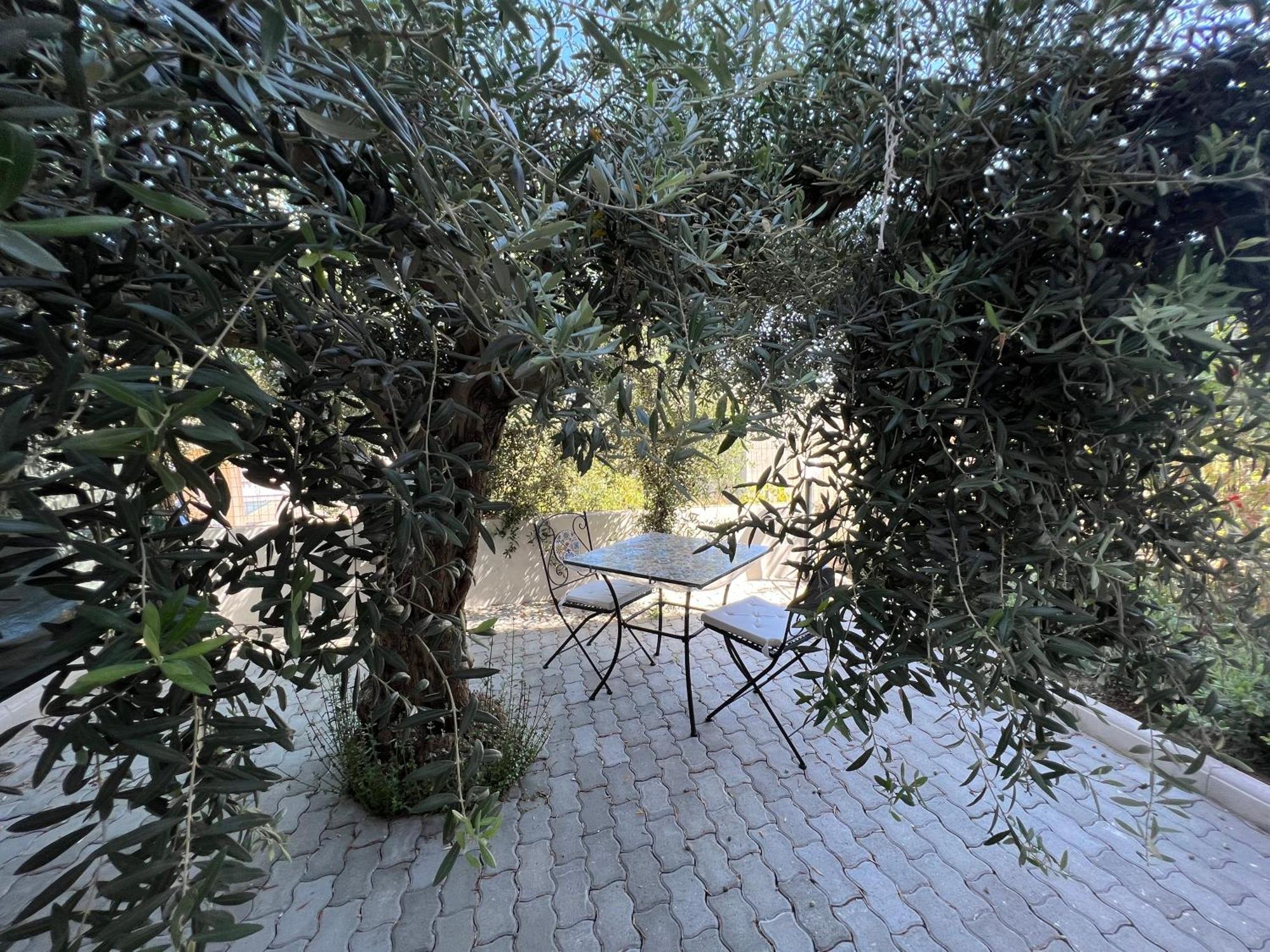 Appartamento L'Ulivo Brancaleone Marina Exterior foto